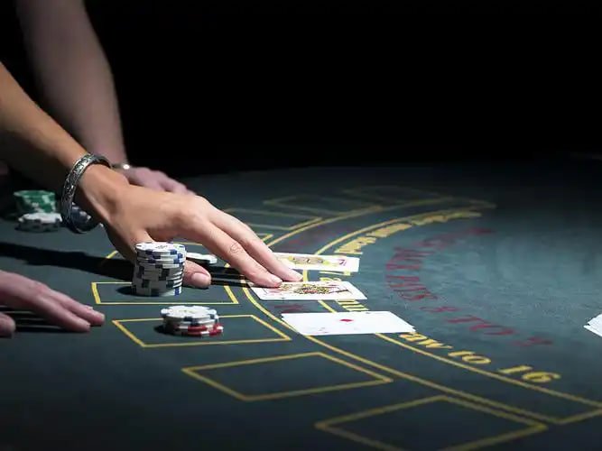 g82u8 Live Casino